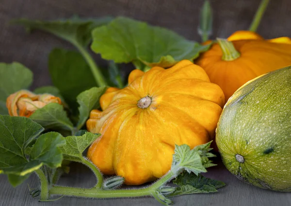 Still life of yellow squash, green pumpkin with leaves on a wooden background.