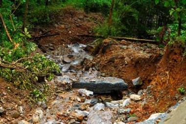 Heavy landslides happened in the Nedumpoyil Ghat in Kerala in August 2022