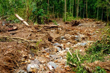 Heavy landslides happened in the Nedumpoyil Ghat in Kerala in August 2022