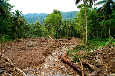 Heavy landslides happened in the Nedumpoyil Ghat in Kerala in August 2022