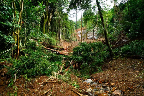 Heavy Landslides Happened Nedumpoyil Ghat Kerala August 2022 — Fotografia de Stock