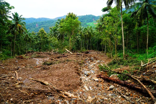 Heavy landslides happened in the Nedumpoyil Ghat in Kerala in August 2022