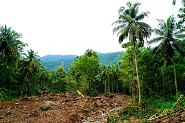 Heavy landslides happened in the Nedumpoyil Ghat in Kerala in August 2022