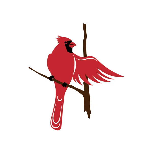 Northern Cardinal Bird Image Christmas Little Redbird Vector Illustration White — Stock Vector