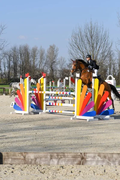 Cavalier Suit Cheval Dans Phase Attaque Saut Pour Faciliter Collecte — Photo