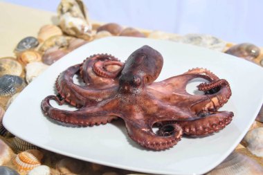 İtalyan ahtapotu Akdeniz 'de pişirilmiş ve salataya dönüştürülmeye hazır.