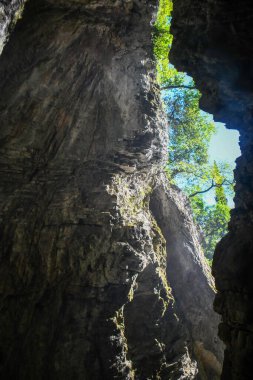 İtalyan Dolomitleri 'ndeki mağara sık ormanların arasında saklanıyor.