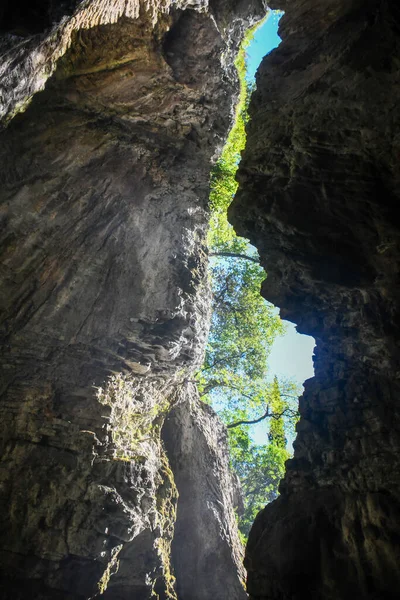 Пещера Итальянских Доломитовых Альпах Скрытая Густым Лесом — стоковое фото
