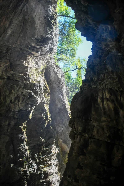 Jaskinia Włoskich Dolomitach Ukryta Gęstym Lesie — Zdjęcie stockowe