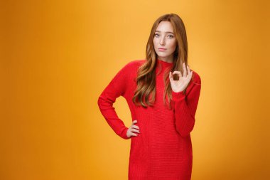 Tamam, anladım. Kendine güvenen ve patronluk taslayan kızıl saçlı kadın girişimcinin portresi olumlu cevap veriyor, bir şeyi doğruluyor, mükemmel ve mükemmel bir çabayla tatmin oluyor.