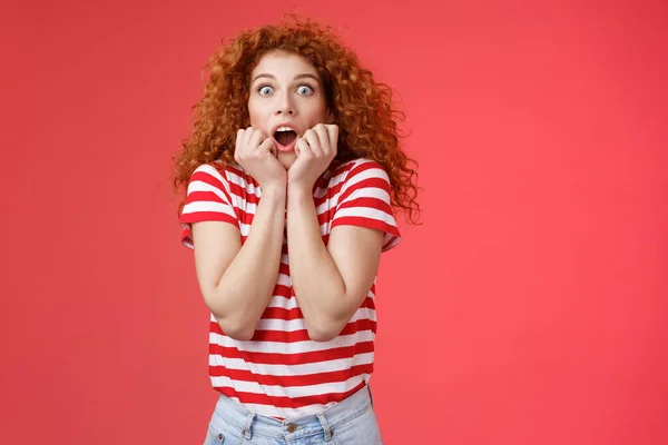 Shocked scared ambushed redhead curly-haired cute girlfriend insecure gasping drop jaw scream frightened stare camera hold hands opened mouth terrified standing stupor red background