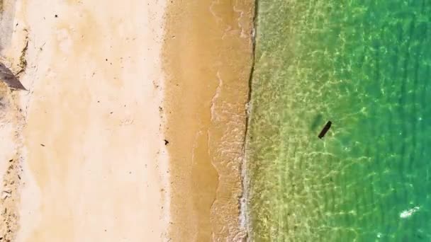 4K空中俯瞰无人机移动美丽的白色沙滩 空旷干净的海滩尽收眼底 美丽的普吉海滩是安达曼海著名的旅游胜地 — 图库视频影像