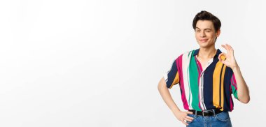 Kendinden emin, çift cinsiyetli genç bir adam tamam işareti gösteriyor, onaylıyor ve kabul ediyor, kameraya gülümsüyor ve göz kırpıyor, garanti ediyor ve tavsiye ediyor, beyaz arka planda duruyor..