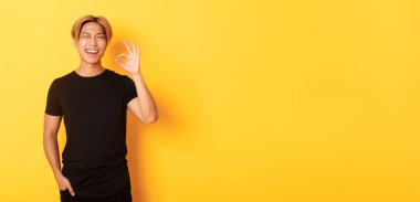 Tatmin olmuş ve mutlu Asyalı adam portresi, onaylama, göz kırpma, garanti kalite, sarı arka plan.