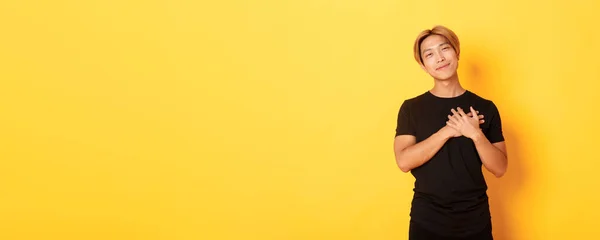 Retrato Tocado Bonito Asiático Cara Segurando Mãos Coração Sorrindo Lisonjeado — Fotografia de Stock