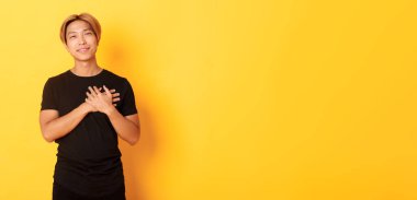 Dokunulmuş yakışıklı Asyalı adamın portresi. Kalbinin üstünde el ele tutuşmuş, gururu okşanmış, sarı arka plan..