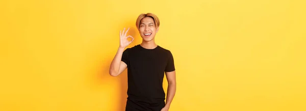 一个满意而快乐的亚洲微笑的男人的画像 在认可中表现出不错的姿态 眨眨眼 保证质量 黄色背景 — 图库照片