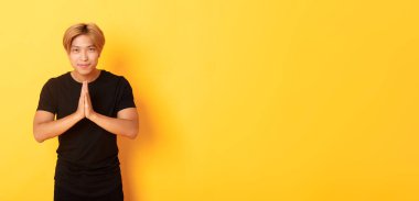 Dost canlısı ve kibar Asyalı sarışının portresi, namaste jestinde el ele tutuşun, selamlaşın ve selamlaşın sarı arka planda durun..