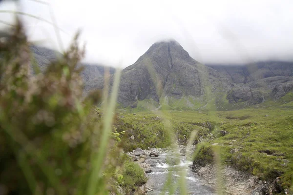 Blick Auf Nebelbedeckten Berg Durch Das Gras Mit Fließendem Wasserfall — Stockfoto