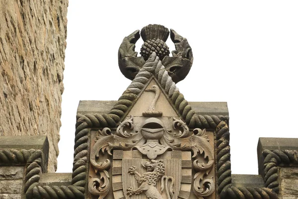 Λίθινη Γλυπτική Γαϊδουράγκαθου Κύκνου Λιονταριού Και Ιππότη Πυργίσκο Κάστρου Του — Φωτογραφία Αρχείου