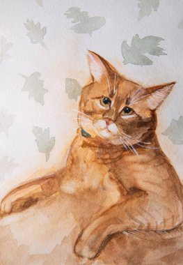 Şirin zencefil ve kedi ressama bakarken suluboya ile portre yapmışlar..