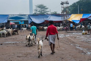 Kolkata, Batı Bengal, Hindistan - 11 Ağustos 2019: 