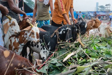 Kolkata, Batı Bengal, Hindistan - 11 Ağustos 2019: 
