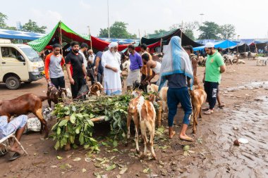 Kolkata, Batı Bengal, Hindistan - 11 Ağustos 2019: 