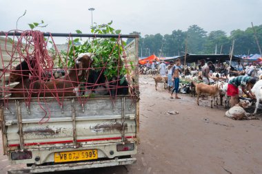 Kolkata, Batı Bengal, Hindistan - 11 Ağustos 2019: 