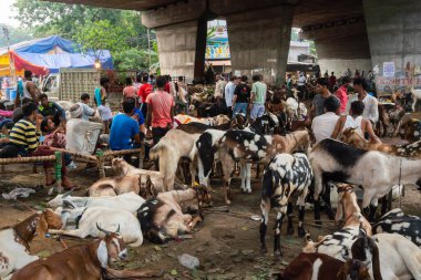 Kolkata, Batı Bengal, Hindistan - 11 Ağustos 2019: 