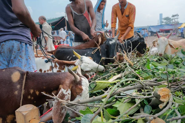Kolkata, Batı Bengal, Hindistan - 11 Ağustos 2019: 