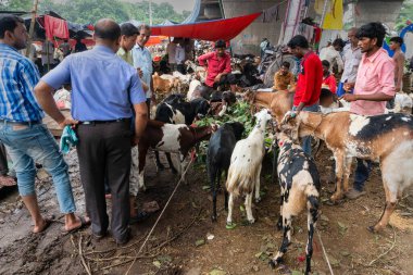 Kolkata, Batı Bengal, Hindistan - 11 Ağustos 2019: 