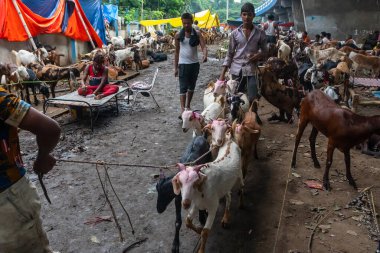Kolkata, Batı Bengal, Hindistan - 11 Ağustos 2019: 
