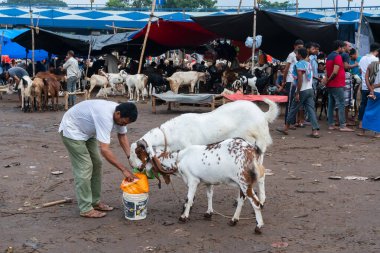Kolkata, Batı Bengal, Hindistan - 11 Ağustos 2019: 