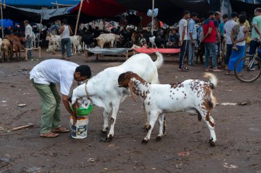 Kolkata, Batı Bengal, Hindistan - 11 Ağustos 2019: 