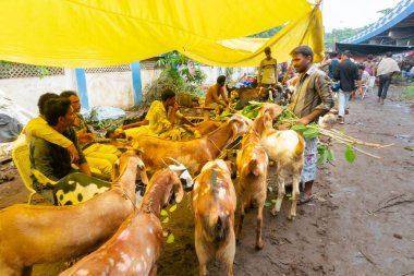 Kolkata, Batı Bengal, Hindistan - 11 Ağustos 2019: 