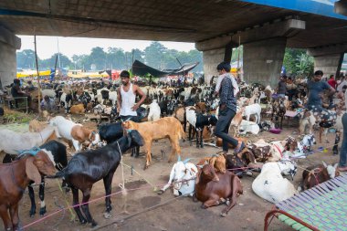Kolkata, Batı Bengal, Hindistan - 11 Ağustos 2019: 