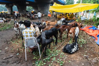 Kolkata, Batı Bengal, Hindistan - 11 Ağustos 2019: 