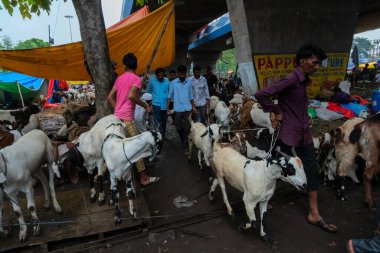 Kolkata, Batı Bengal, Hindistan - 11 Ağustos 2019: 