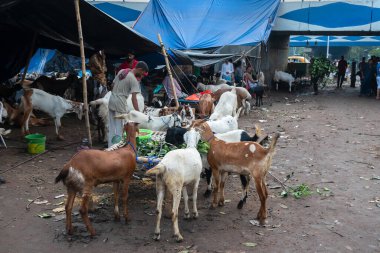 Kolkata, Batı Bengal, Hindistan - 11 Ağustos 2019: 
