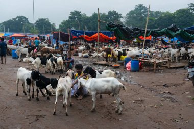 Kolkata, Batı Bengal, Hindistan - 11 Ağustos 2019: 