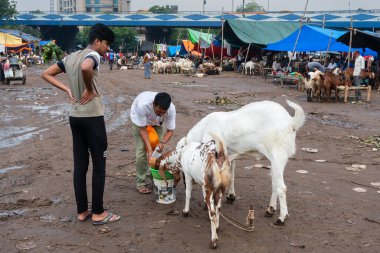 Kolkata, Batı Bengal, Hindistan - 11 Ağustos 2019: 