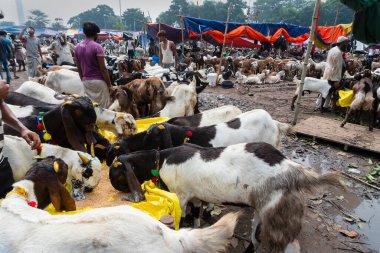 Kolkata, Batı Bengal, Hindistan - 11 Ağustos 2019: 