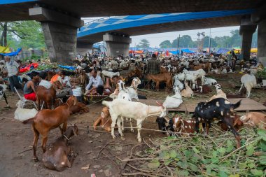 Kolkata, Batı Bengal, Hindistan - 11 Ağustos 2019: 