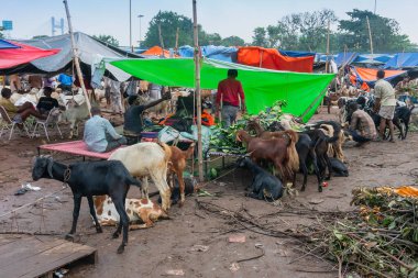 Kolkata, Batı Bengal, Hindistan - 11 Ağustos 2019: 
