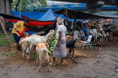 Kolkata, Batı Bengal, Hindistan - 11 Ağustos 2019: 