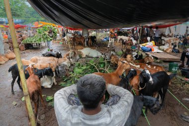 Kolkata, Batı Bengal, Hindistan - 11 Ağustos 2019: 