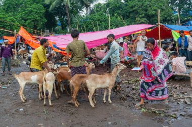 Kolkata, Batı Bengal, Hindistan - 11 Ağustos 2019: 