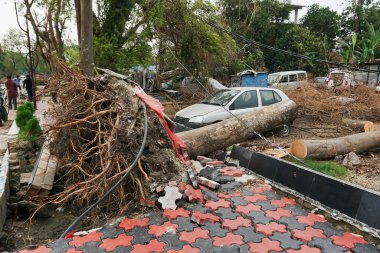 Howrah, West Bengal, India - 31st May 2020 : Super cyclone Amphan uprooted tree and the force raised the pavement. Tree fell and blocked pavement. The devastation has made many trees fall on ground. clipart