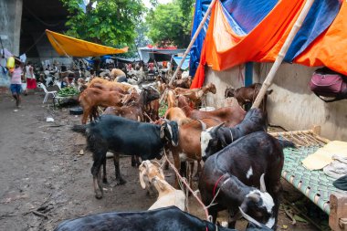 Kolkata, Batı Bengal, Hindistan - 11 Ağustos 2019: 